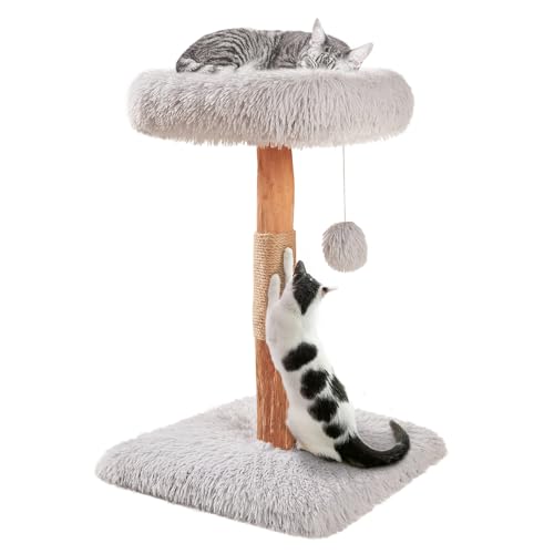 beeNbkks Katzenbaum, Modern Holz Katzenturm für Indoor Katzen, Echter Ast Katzenbaum Turm mit Sisal Katzenkratzbaum und Sitzstange Hängematte Bett, Luxus Flauschige Katzenmöbel für Mehrere Katzen von beeNbkks