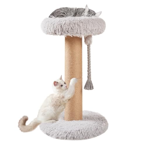 beeNbkks Katzenbaum Turm mit Kratzbaum, Modern Holz Klein Katzenbaum für Indoor Katzen, Katzenkratzbaum mit Bett Sitzstange Hängematte, Luxus Flauschige Katzenturm Möbel für Mehrere Katzen Kätzchen von beeNbkks