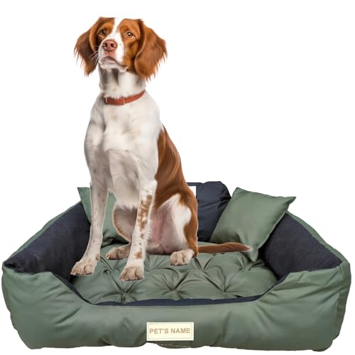 beeco STORE Hundebett mittelgroße Hunde M-75x65cm, Grün | Personalisiert, Wasserdichtes Hudebett - Name des Hundes | Waschbares Hundebett für Hunde | Orthopädisches Hundebett, Silikon Füllung von beeco STORE