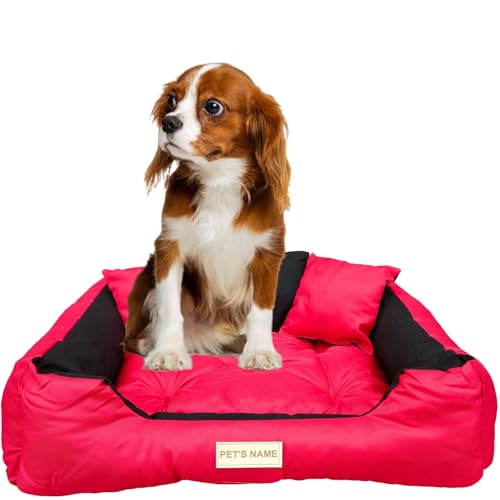 beeco STORE Hundebett kleine Hunde S-55x45cm, Rot | Personalisiert, Wasserdichtes Hudebett - Name des Hundes | Waschbares Hundebett für kleine Hunde | Orthopädisches Hundebett, Silikon Füllung von beeco STORE