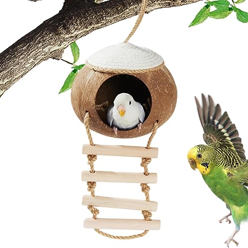 Kolibrihaus, Papageienbett, Kolibri-Nest Kokosnuss für den Garten | Terrasse Deko für Schwalbe Spatzen, Vogelhäuschen, Kolibri-Nest für Garten Bellv von bellv