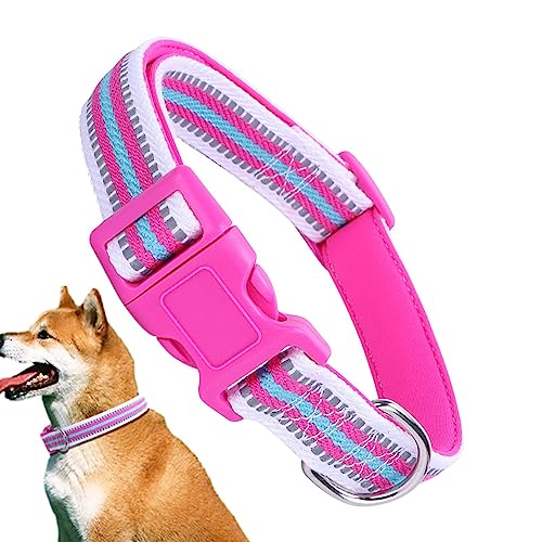 bellv Für kleine Hunde – Trainingshalsband für Hunde, reflektierend, verstellbar, bunt, für Katzen, für die Sicherheit der Hunde, weiches Halsband für kleine Hunde von bellv