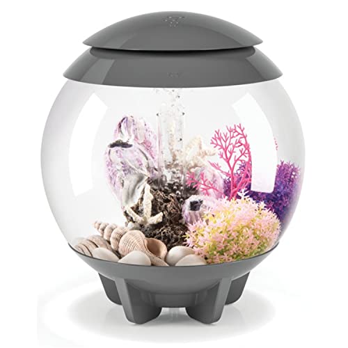 biOrb Halo 15 MCR grau - Tabletop Aquarium, für unzählge Designmöglichkeiten, Komplettset mit Acrylbecken von biOrb