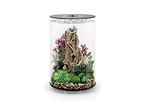 biOrb Tube 30 MCR schwarz - Design-Aquarium, Komplettset mit Filtersystem, 360-Grad-Blick von biOrb