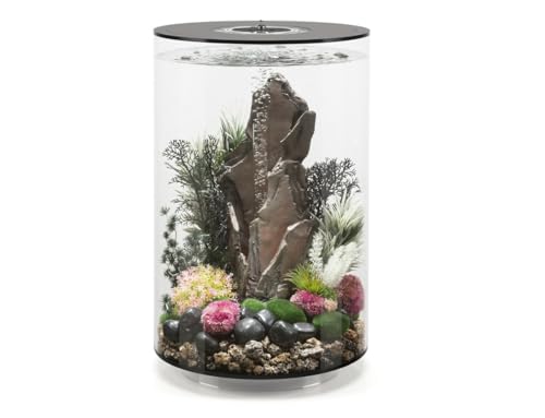 biOrb Tube 30 MCR schwarz - Tabletop Aquarium für Elegante Designvarianten, mit patentiertem Filtersystem von biOrb