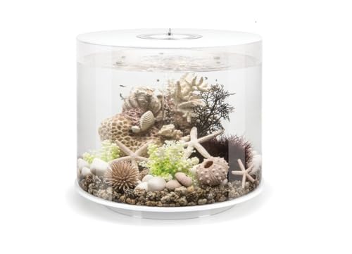 biOrb Tube 35 MCR weiß - Elegantes Design-Aquarium, Komplettset mit Filtersystem, 360-Grad-Blick von biOrb