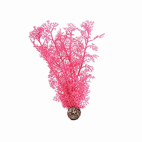 biOrb 46096 Hornkoralle M pink – elegante, naturnahe Koralle aus Kunststoff | Aquariendekoration | leichte Reinigung | geeignet für Süßwasser und Meerwasser biOrb 46096 Hornkoralle M pink – elegante, naturnahe Koralle aus Kunststoff | Aquariendekoration | leichte Reinigung | geeignet für Süßwasser und Meerwasser von biOrb