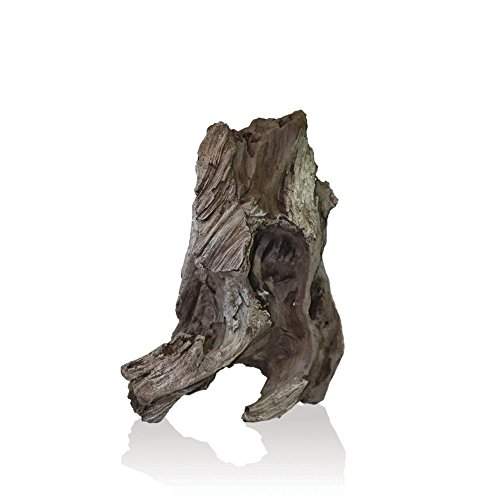 biOrb 46161 biOrb AIR Steinwurzel Ornament neck, Aquarium Dekoration, Zubehör für Terrarien von biOrb