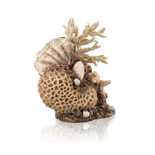 biOrb 48360 Korallen-Muschel Ornament natural - pflegeleichte Aquariendekoration, Korallenriff, biOrb Modell TUBE ab 30L, biOrb Classic 105L von biOrb