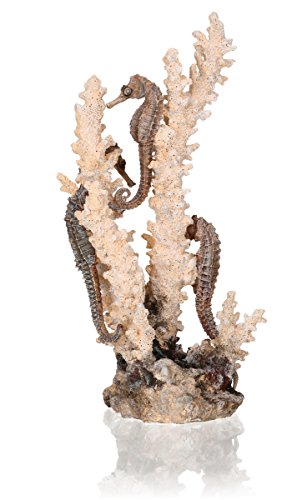 biOrb 55039 Seepferdchen natur M - Mittelgroße Seepferdchen-Skulptur mit Korallen, Aquarium Ornament, Gestaltung von Süßwasser- und Meerwasseraquarien von biOrb