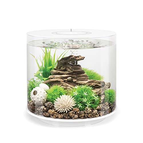 biOrb 72063 TUBE 15 LED, weiß (15 Liter) - 360-Grad Deko-Aquarium | Komplett-Set aus Acryl-Glas mit LED-Beleuchtung, Filter-System und Boden-Keramik von biOrb