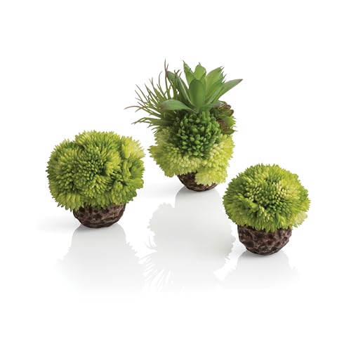 biOrb 72683 Korallenball Set grün, 8 x 8 x 9 cm - Aquarien-Dekoration, Deko-Element für Aquarium, naturnahe Aquarienpflanze von biOrb