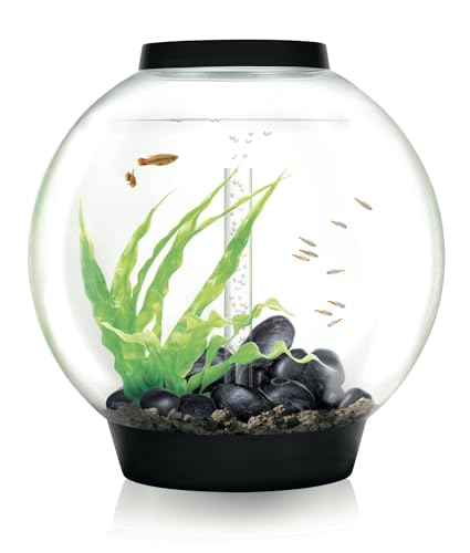 biOrb Klassisches Aquarium aus Acryl mit mehrfarbigen, ferngesteuerten LED-Lichtern, modernes Aquarium für Tischdekoration, Schwarz, 60-Liter-Fassungsvermögen von biOrb