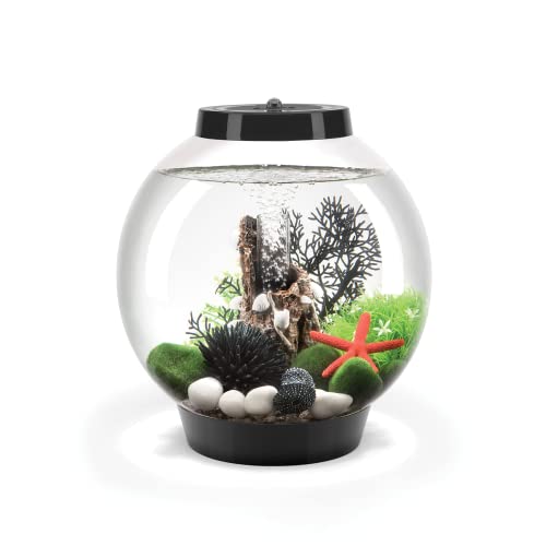 biOrb Klassisches Aquarium aus Acryl mit mehrfarbigen, ferngesteuerten LED-Lichtern, modernes Aquarium für Tischdekoration oder Desktop, Schwarz, 15-Liter-Fassungsvermögen von biOrb