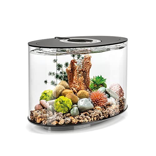 biOrb LOOP 15 LED Aquarium, 15 Liter - Acryl-Aquarium, Komplettset inklusive Lichteinheit und patentiertem Filtersystem, 360 Grad-Modell von biOrb