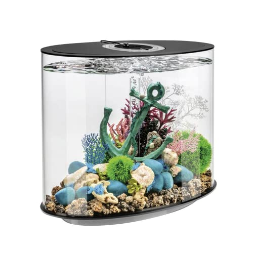 biOrb Loop 30 MCR schwarz - Aquarium, für einzigartige Dekorationsvarianten, mit patentiertem Filtersystem von biOrb