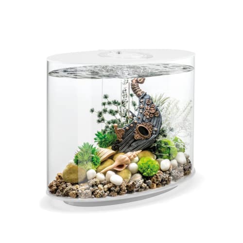 biOrb 86470 Loop 30 MCR weiß - Acryl-Aquarium mit MCR-Lichteinheit, Komplettset in außergewöhnlicher Form von biOrb