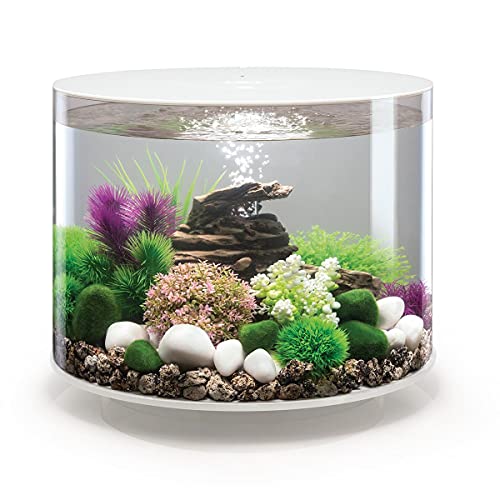 biOrb TUBE 35 LED, weiß - 360-Grad Deko-Aquarium / Komplett-Set aus Acryl-Glas mit LED-Beleuchtung, Filter-System und Boden-Keramik von biOrb