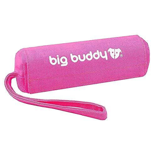 big buddy® Futterdummy für Hunde | Apportierbeutel, Futterbeutel, Hundetraining, Agility Training, Hundeerziehung, Dummy für leckerlies - extrem strapazierfähig von big buddy