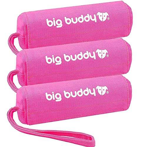 big buddy® Futterdummy für Hunde | Apportierbeutel, Futterbeutel, Hundetraining, Agility Training, Hundeerziehung, Dummy für leckerlies - extrem strapazierfähig (Dreierpack, Pink) von big buddy