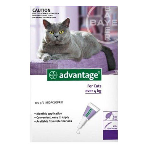 Advantage For Cats Over 4kg (Purple) 12 Pack