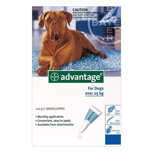 Advantage For Extra Large Dogs Over 25kg (Blue) 12 Pack