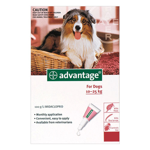 Advantage For Large Dogs 10 To 25kg (Red) 12 Pack