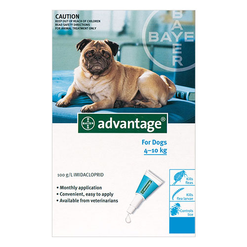 Advantage For Medium Dogs 4 To 10kg (Aqua) 12 Pack