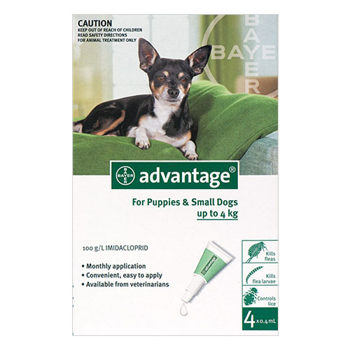 Advantage For Small Dogs Up To 4kg (Green) 12 Pack