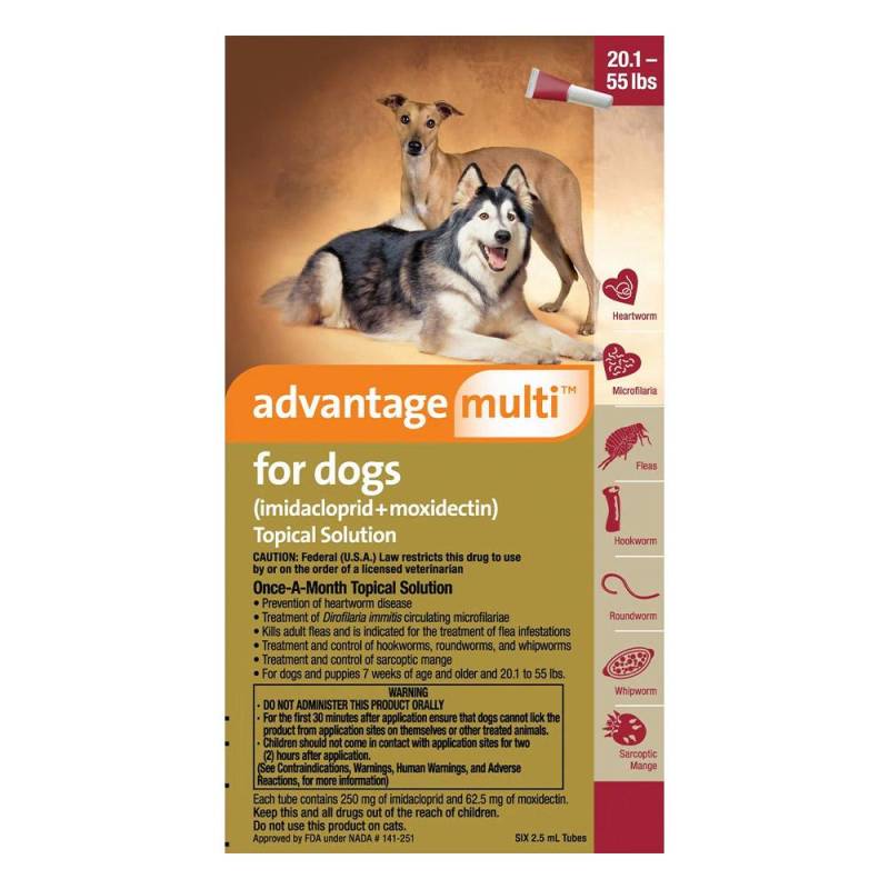 Advantage Multi (Advocate) For Large Dogs 10 To 25 Kg (Red) 12 Pack