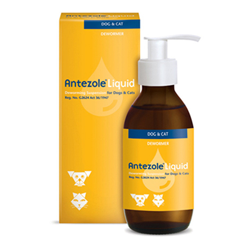 Antezole Liquid Suspension For Cats & Dogs 100 Ml