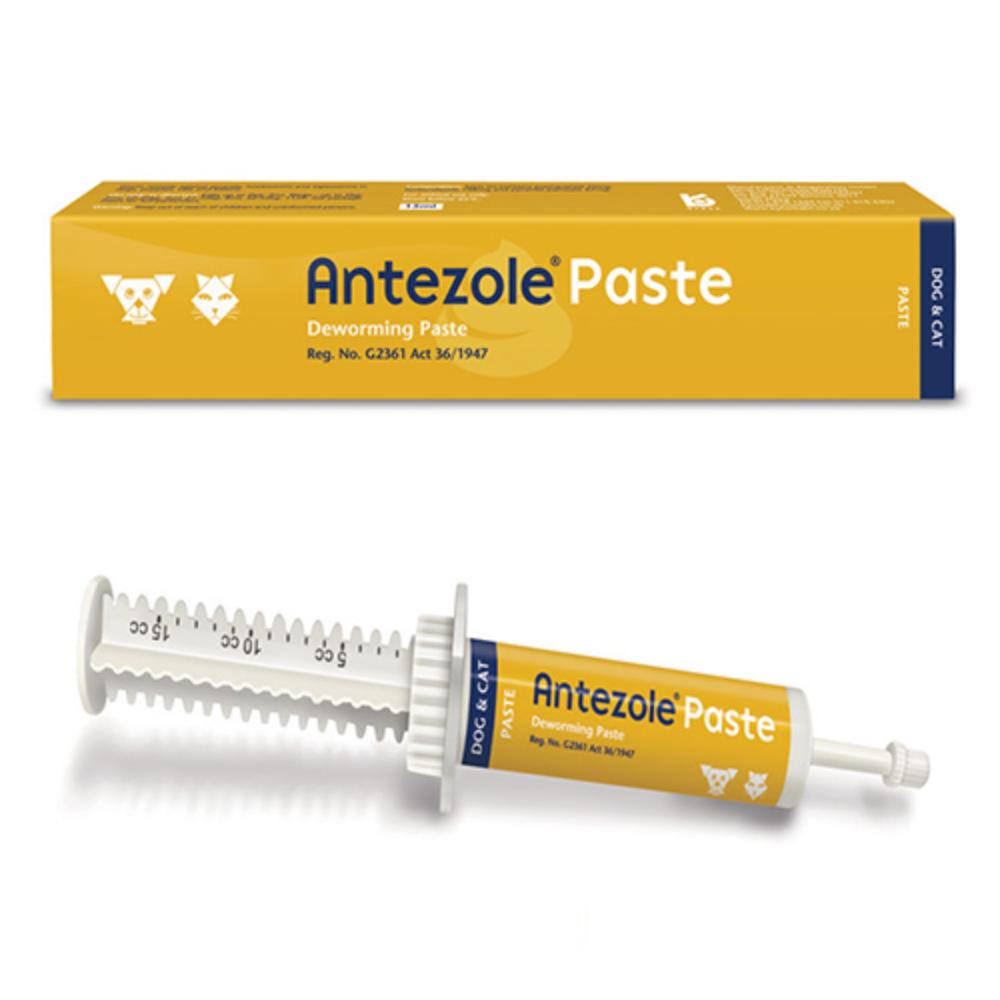 Antezole Paste For Cats & Dogs 15 Ml