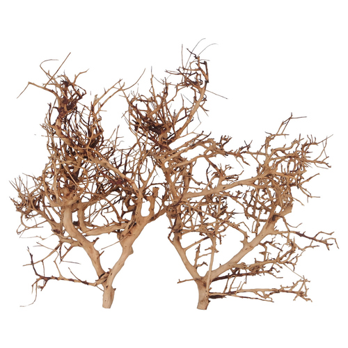 Aqua Della Aquarium Dekoration Thailand Zweig braun, Größe: L Aqua Della Aquarium Dekoration Thailand Zweig braun, Größe: L