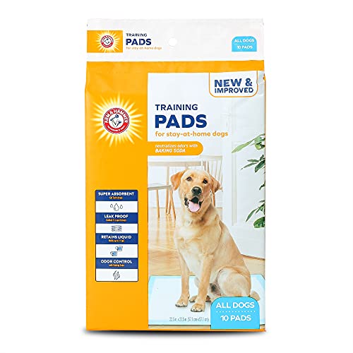 Arm & Hammer Wee Wee Wee Trainingspads für Hunde und Welpen, mit Lockstoff, verbesserte super saugfähig, auslaufsicher, geruchshemmend, Gesteppte Welpenunterlagen mit Backpulver, 10 Stück von Arm & Hammer