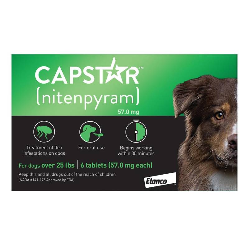 Capstar For Large Dogs Over 11kg (Green) 12 Tablets