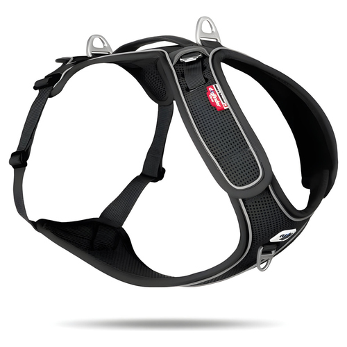 Curli Belka Geschirr Adjustable Neck Black Curli Belka Geschirr Adjustable Neck Black