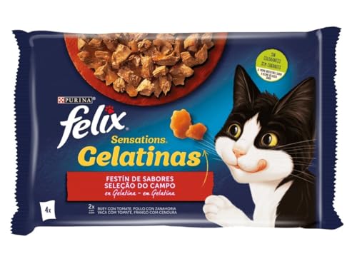 Felix - Sensations Fleisch in leckeren Gelatinas Sortiment Umschläge 4 x 100 g - 400 g von Felix