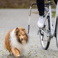 Fahrradhalter - Biker