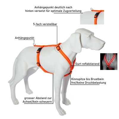 Hundegeschirr Mantrailing/Suchgeschirr Basic