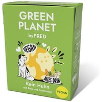 DIVE Fred & Felia FRED Green Planet "Kein Huhn" (vegan) 10x390g von DIVE