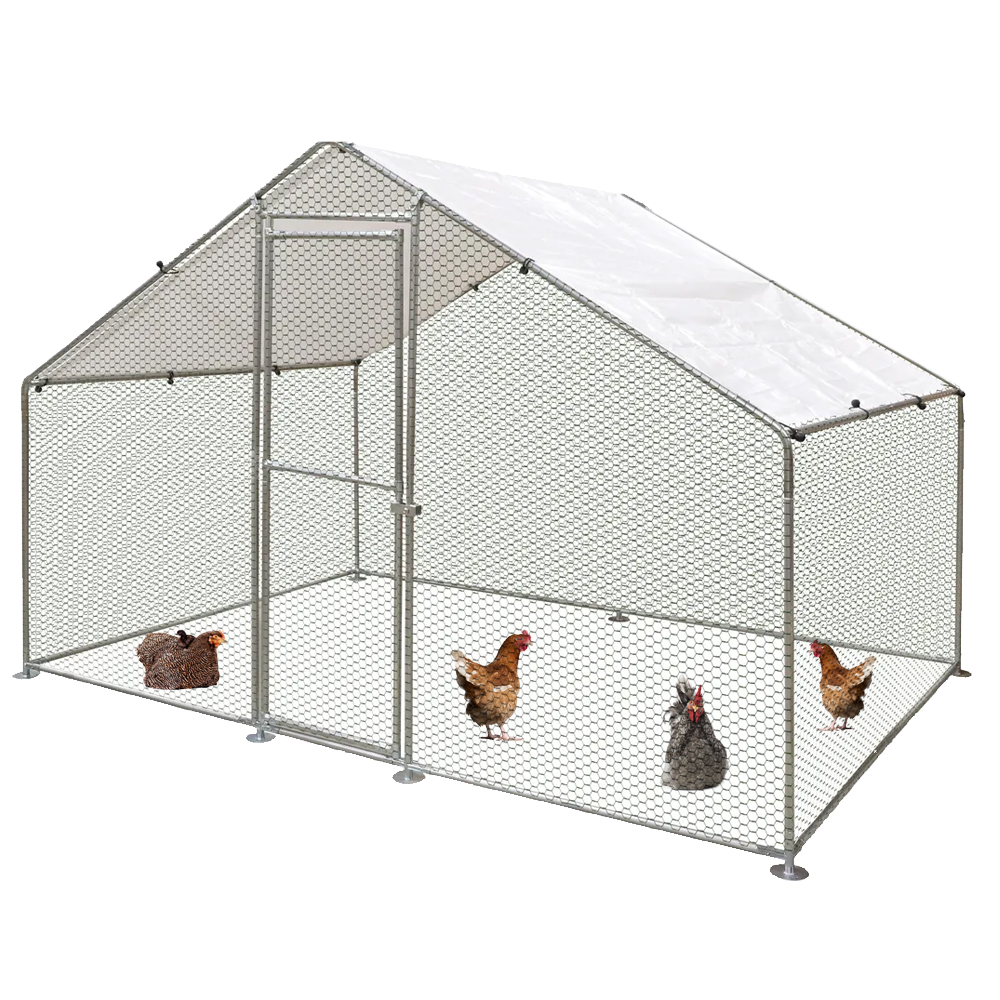 Freilaufgehege 2 x 3 x 2 Meter Freilaufgehege 2 x 3 x 2 Meter