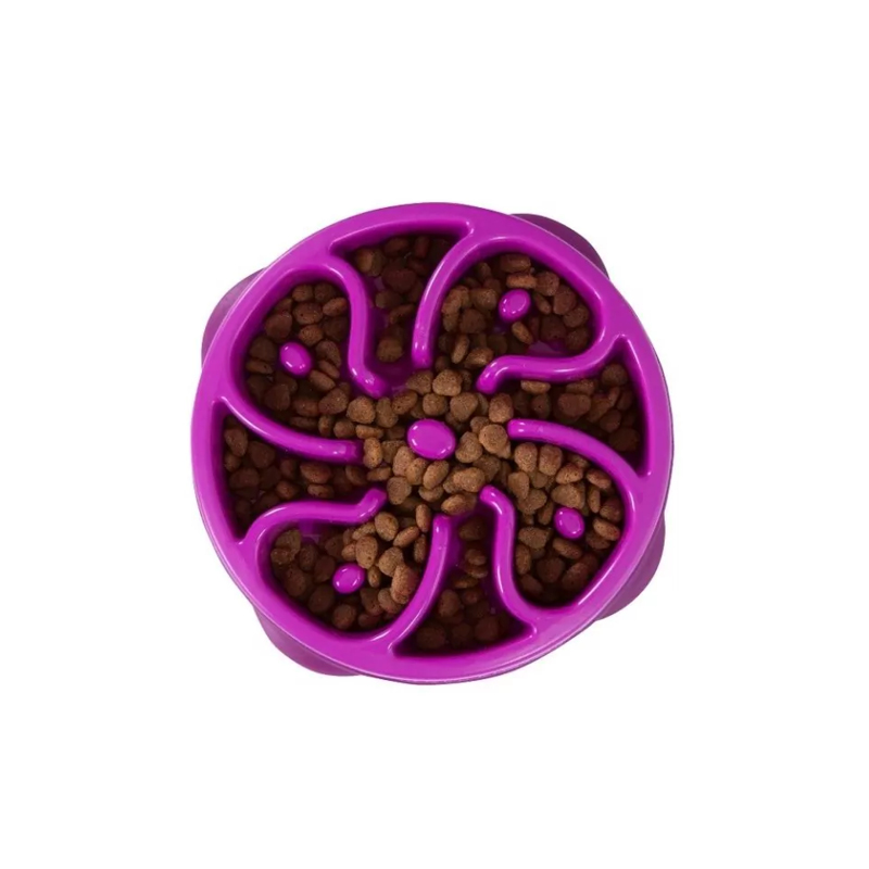 Fun Feeder in Lila M Fun Feeder in Lila M