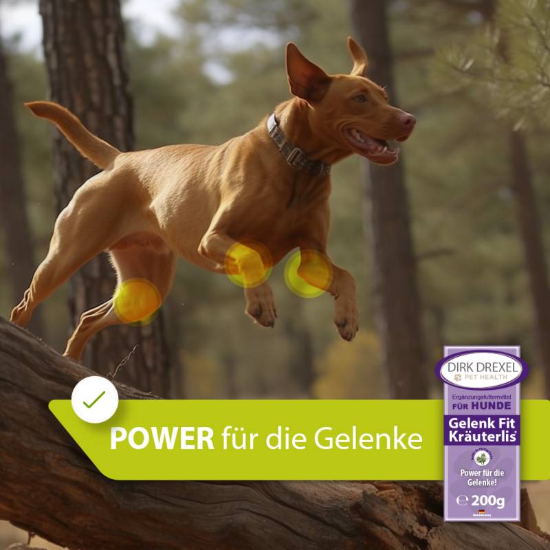 Gelenk Booster Hunde