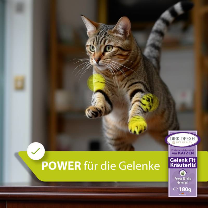 Gelenk Booster Katzen