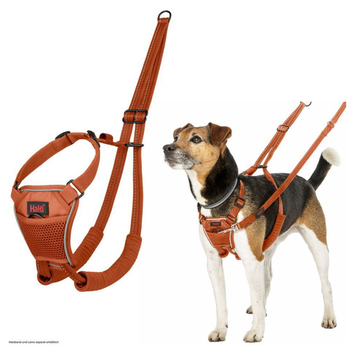 Halti Erziehungsgeschirr No Pull Harness Burnt Orange, Größe: M Halti Erziehungsgeschirr No Pull Harness Burnt Orange, Größe: M