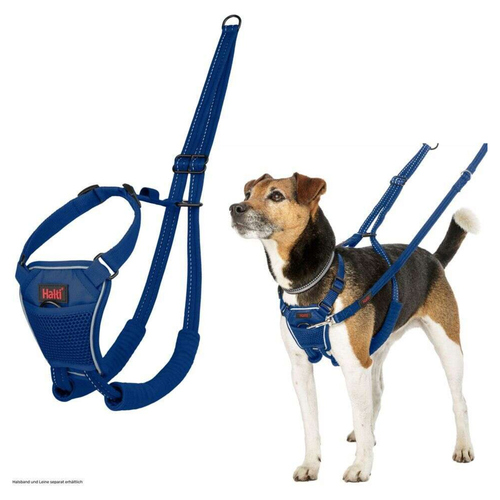 Halti Erziehungsgeschirr No Pull Harness Cobalt Blue, Größe: S Halti Erziehungsgeschirr No Pull Harness Cobalt Blue, Größe: S