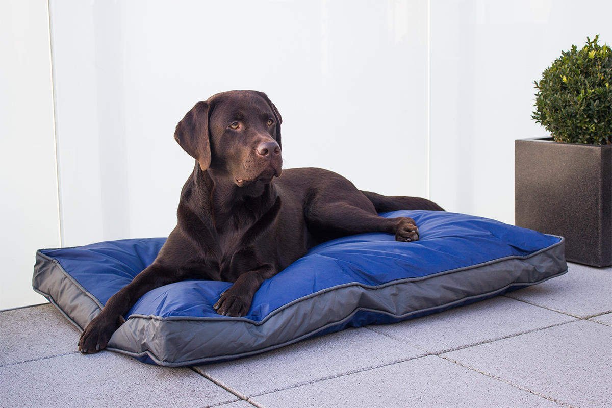 Hunde-Outdoorkissen 105 x 67 cm, wasserdicht und robust, blau Hunde-Outdoorkissen 105 x 67 cm, wasserdicht und robust, blau