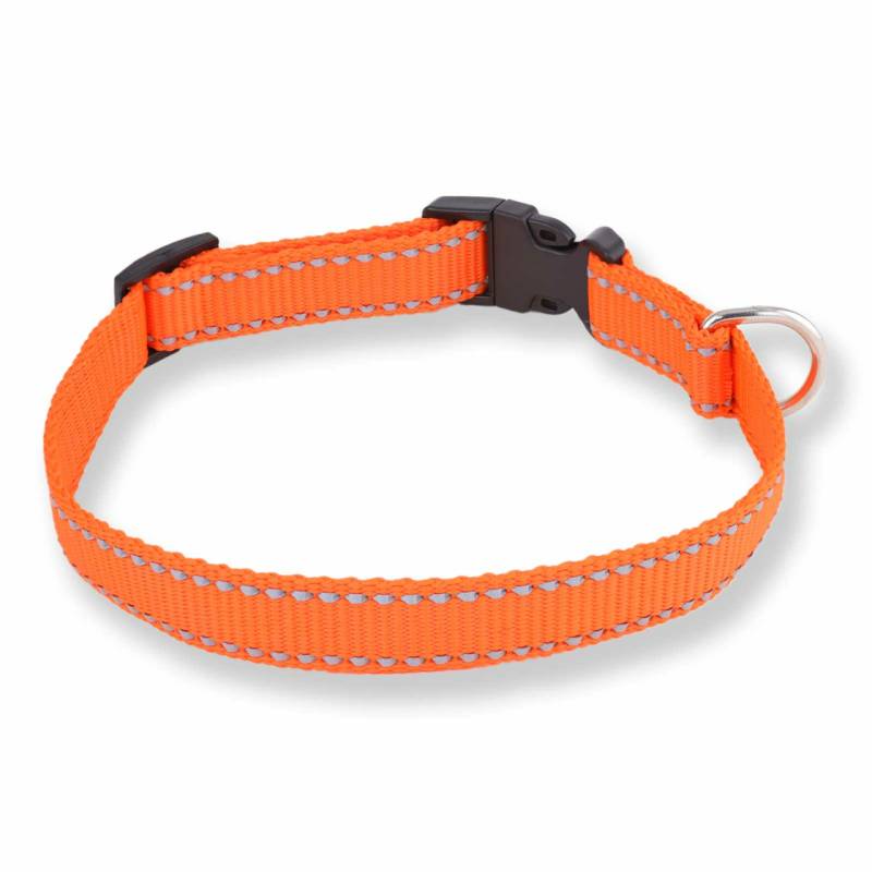 Hundehalsband aus Nylon reflektierend