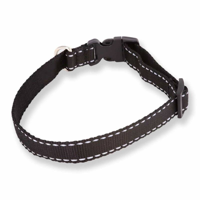 Hundehalsband aus Nylon schwarz leuchtend