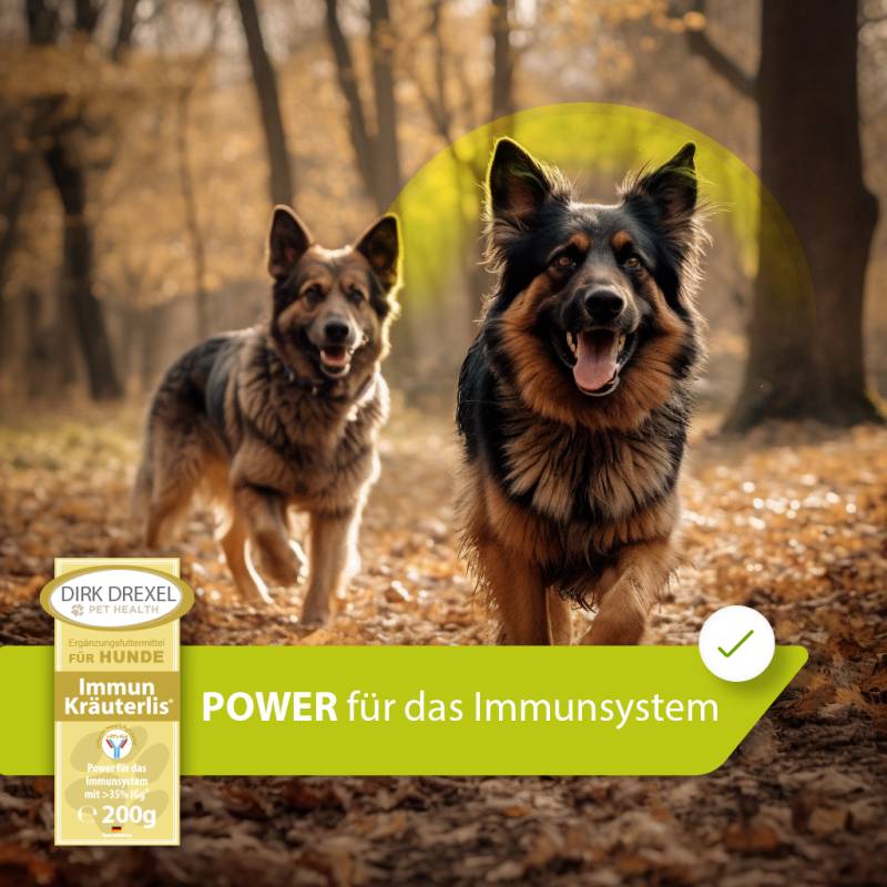 Immunsystem Booster Hunde